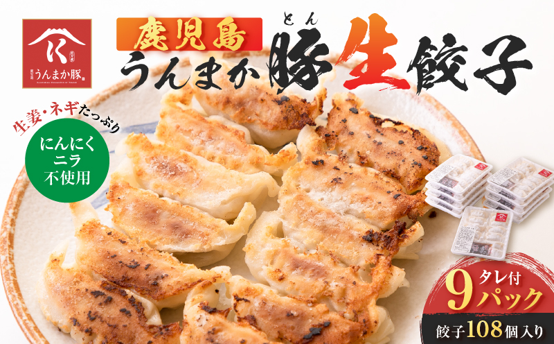 鹿児島うんまか豚生餃子9パック（餃子108個入り・タレ付）　K005-003_02