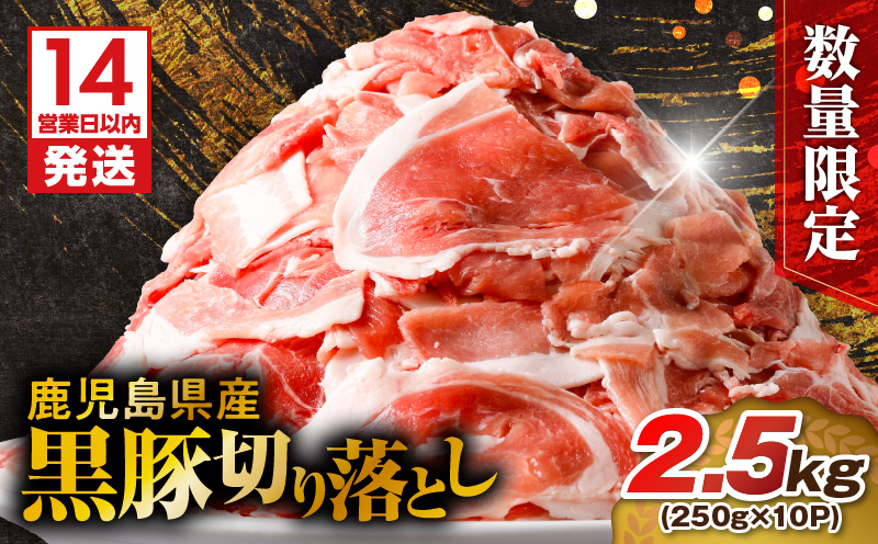 【14営業日以内に発送】【数量限定】鹿児島県産 黒豚切り落とし 2.5kg　K025-001_05