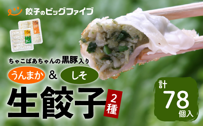 ちゃこばあちゃんの黒豚入りうんまか・しそ生餃子　計78個入り　K027-005