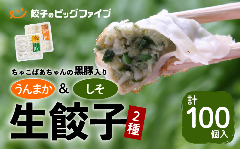 ちゃこばあちゃんの黒豚入りうんまか・しそ生餃子　計100個入り　K027-006