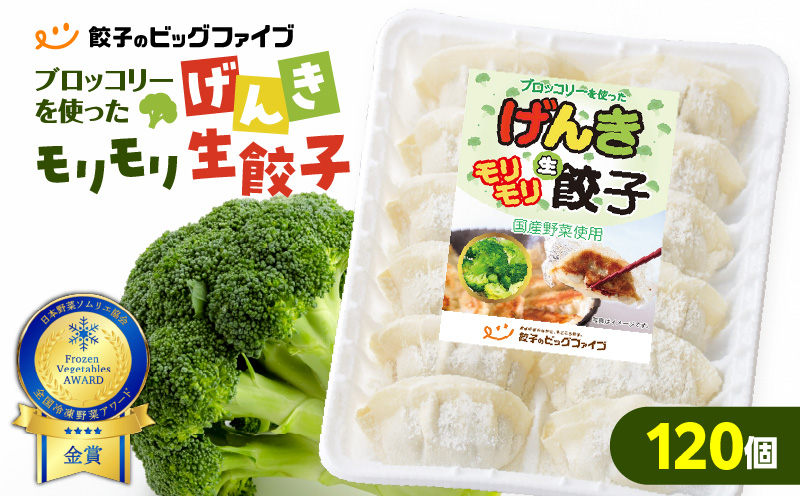 げんきモリモリ生餃子 120個　K027-010_02