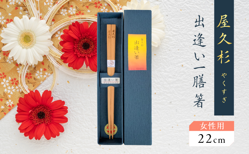 屋久杉　出逢い一膳箸 女性用（22cm）　K042-007_1