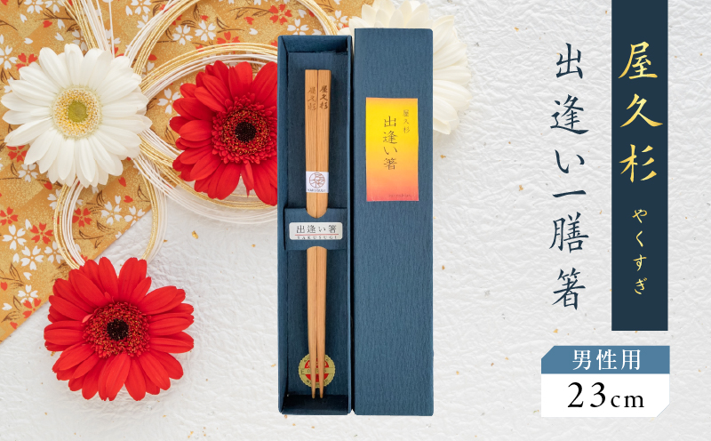 屋久杉　出逢い一膳箸 男性用（23cm）　K042-007_2