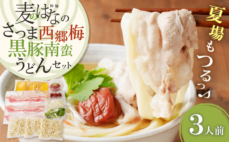 麦のはなのさつま西郷梅黒豚南蛮うどんセット　K071-006