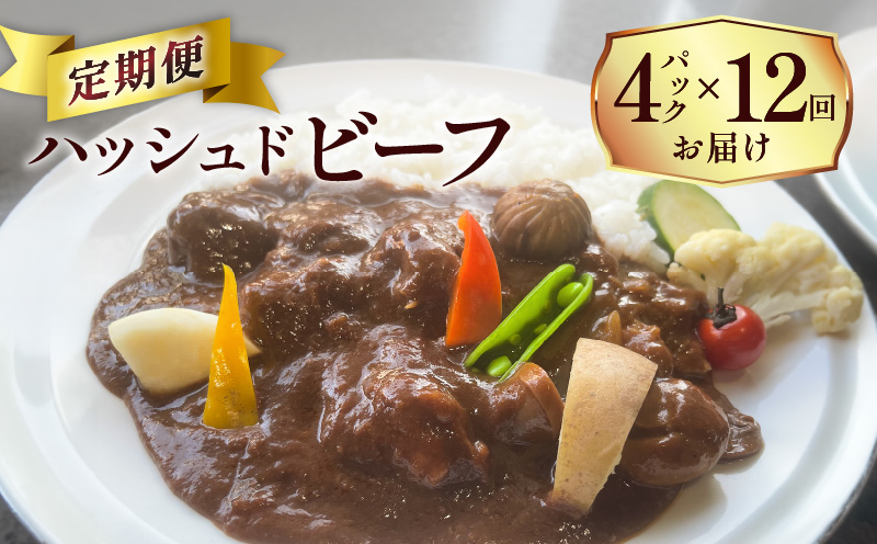 【洋食グリル肝付】定期便 ハッシュドビーフ 4パック×12回　K084-T09