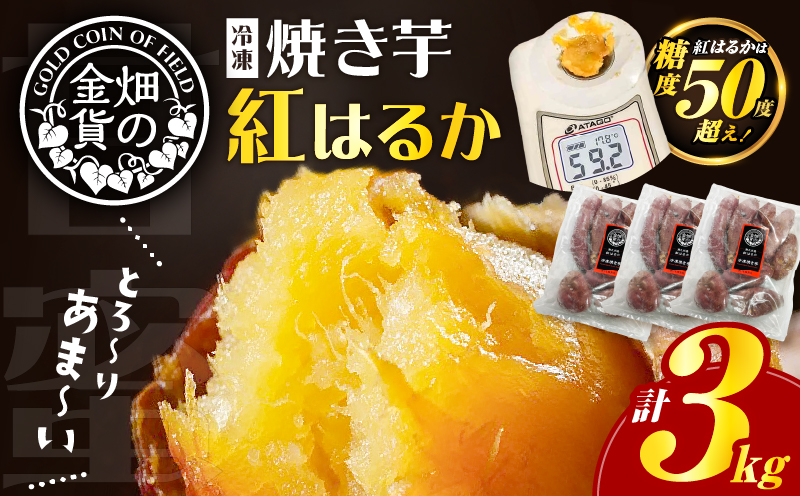 鹿児島市 畑の金貨 焼き芋紅はるか 3kg　K181-001_01
