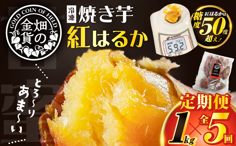 【全5回】【畑の金貨】焼き芋紅はるか1kg 定期便　K181-T01