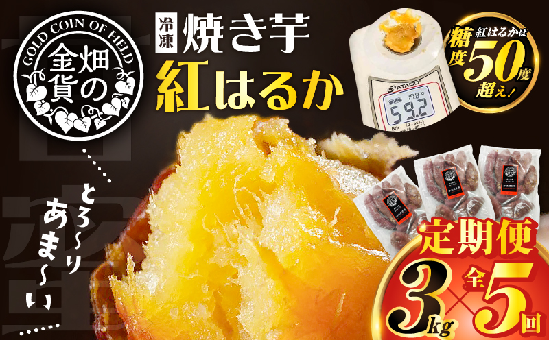 【全5回】【畑の金貨】焼き芋紅はるか3kg 定期便　K181-T02