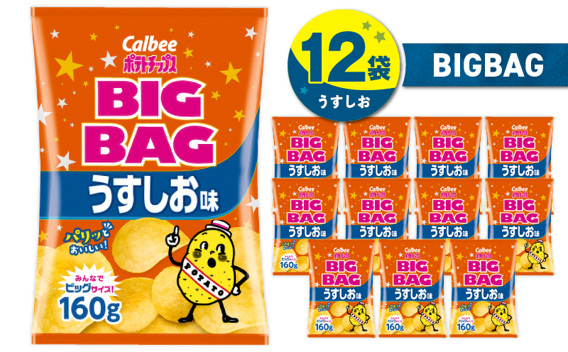 カルビー ポテトチップス BIGBAG【うすしお】12袋　K194-002_04