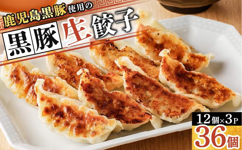 鹿児島黒豚使用の黒豚餃子 36個　K202-001_01