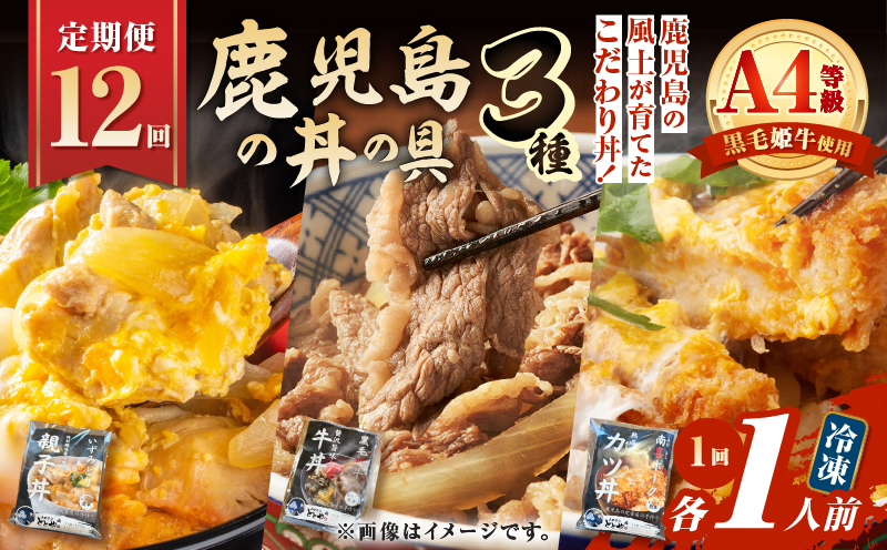 【全12回定期便】鹿児島の丼の具3種セット（1人前）　K258-T05_01c