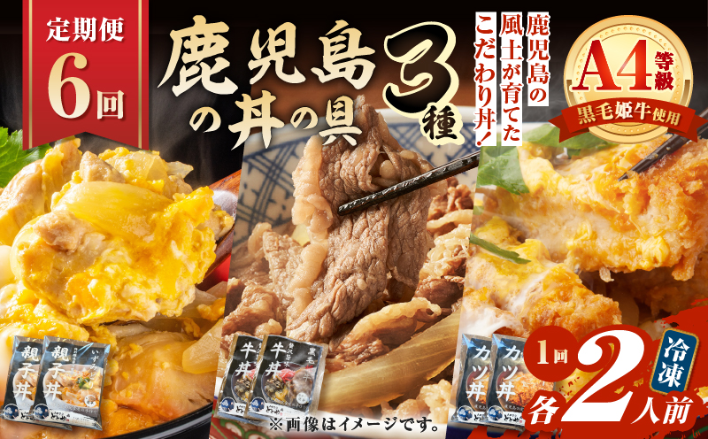 【全6回定期便】鹿児島の丼の具3種セット（2人前）　K258-T05_02b