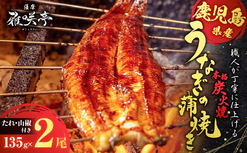 職人が丁寧に仕上げる本格炭火焼 鹿児島県産うなぎの蒲焼き 2尾　K282-001_01