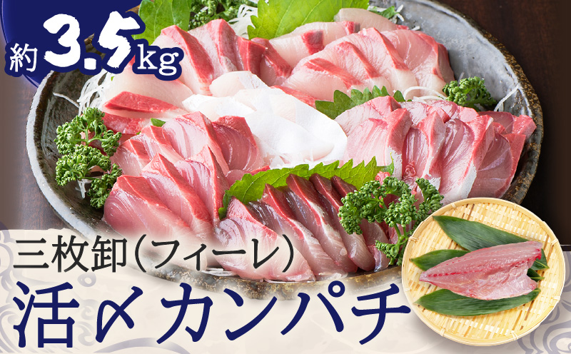 鹿児島県産カンパチ 約3.5kg 三枚卸（フィーレ） 活〆※真空包装　K294-003_02