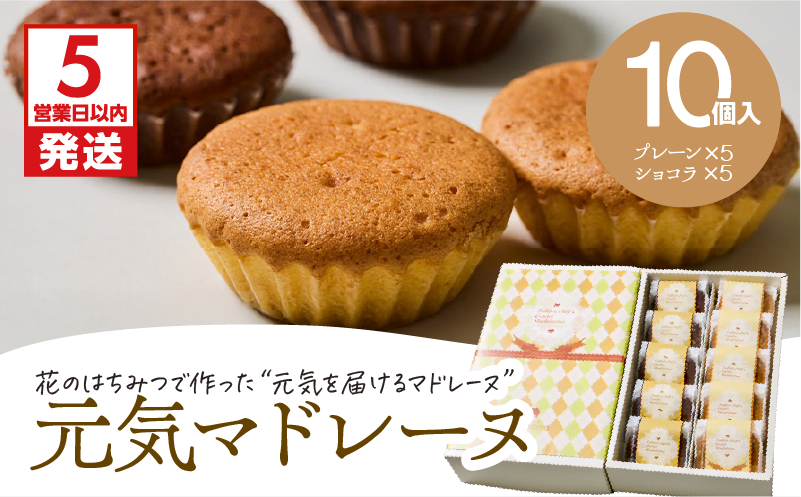 【5営業日以内に発送】元気マドレーヌ プレーン 5個・ショコラ 5個　K300-005_03