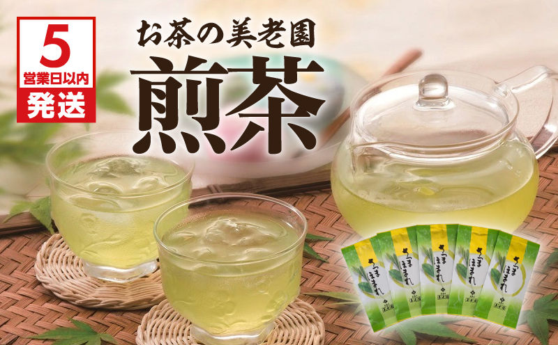 【5営業日以内に発送】お茶の美老園　煎茶　K021-002