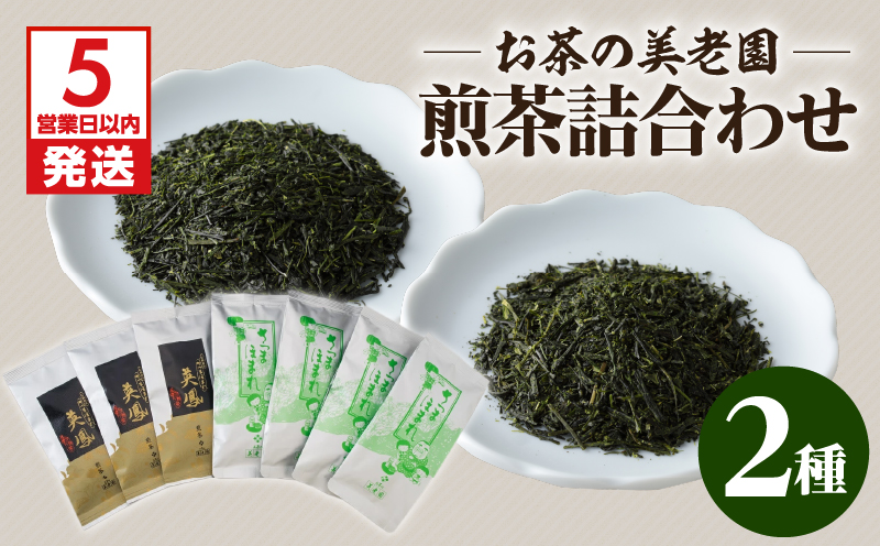 【5営業日以内に発送】お茶の美老園　煎茶詰合せ　K021-004