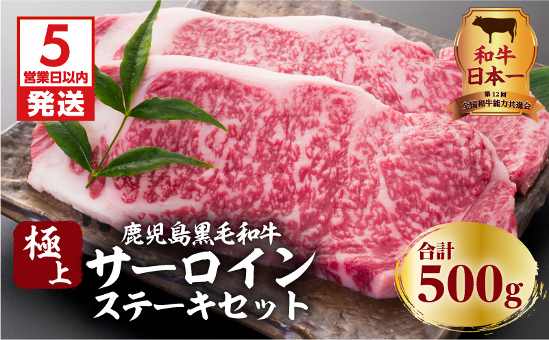 【5営業日以内に発送】鹿児島黒毛和牛の極上サーロインステーキセット 500g　K134-003