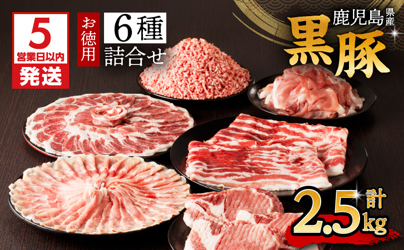 【5営業日以内に発送】鹿児島県産黒豚お徳用 6種詰合せ(2.5kg)　K134-011
