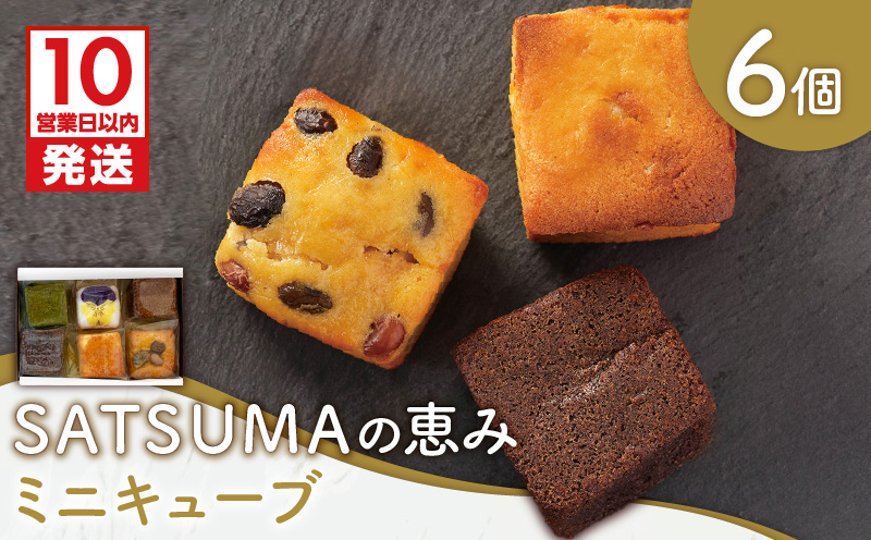 【10営業日以内に発送】SATSUMAの恵み（ミニキューブ） 6個入り　K325-001