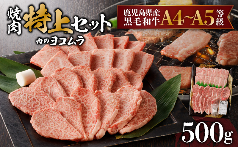【鹿児島黒毛和牛A4～A5】焼肉特上セット（特上カルビ/特上ロース）　K189-007