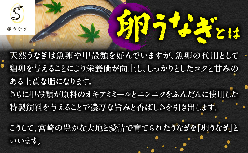 1642-1 九州産 卵うなぎ 備長炭手焼 『鯉家匠うなぎ』の蒲焼 2尾 計300g　KN029-005-01