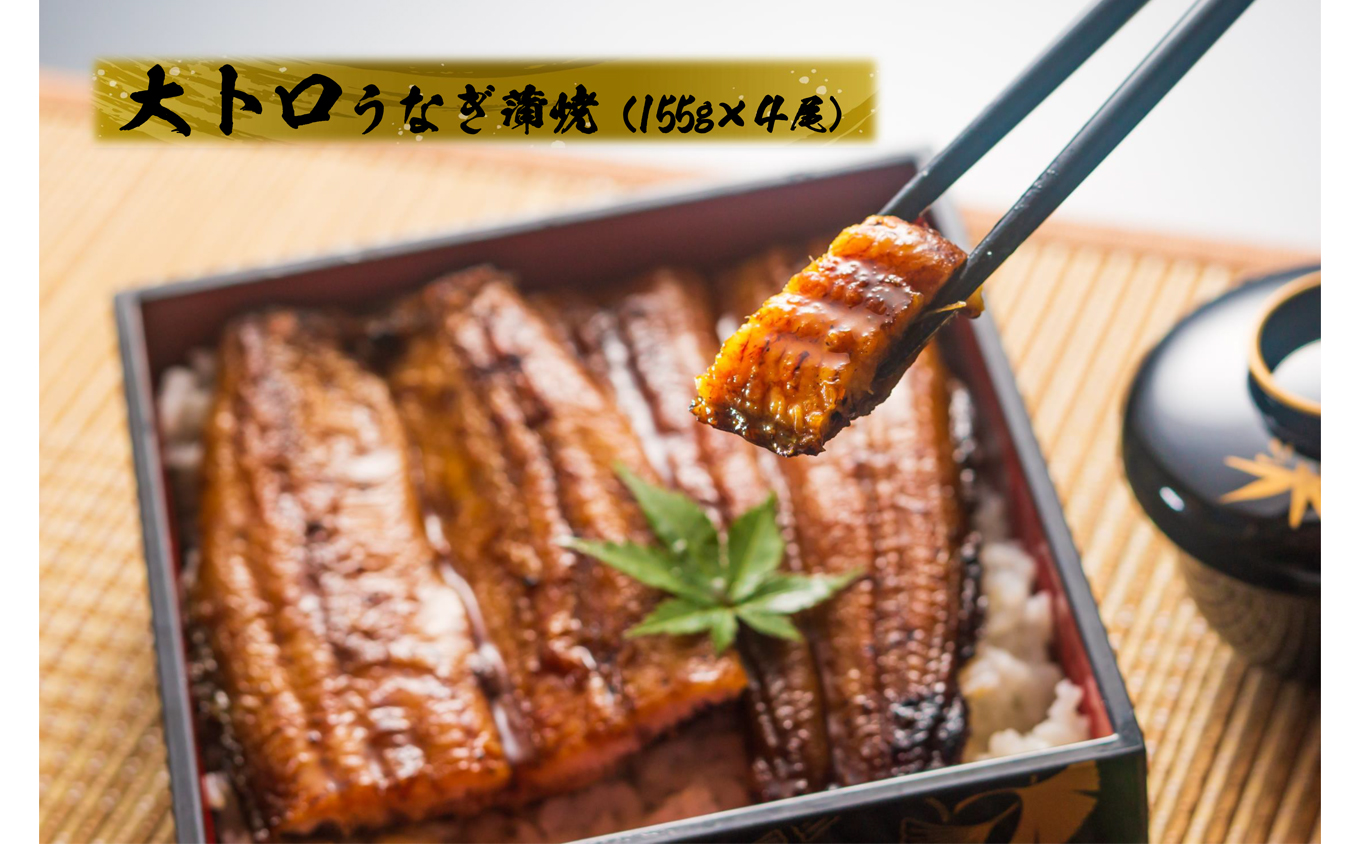1720-2 【定期（全3回）】大人気！鯉家の極上蒲焼「大トロうなぎ（4尾）」【国産・手焼き備長炭】　KN040-T01