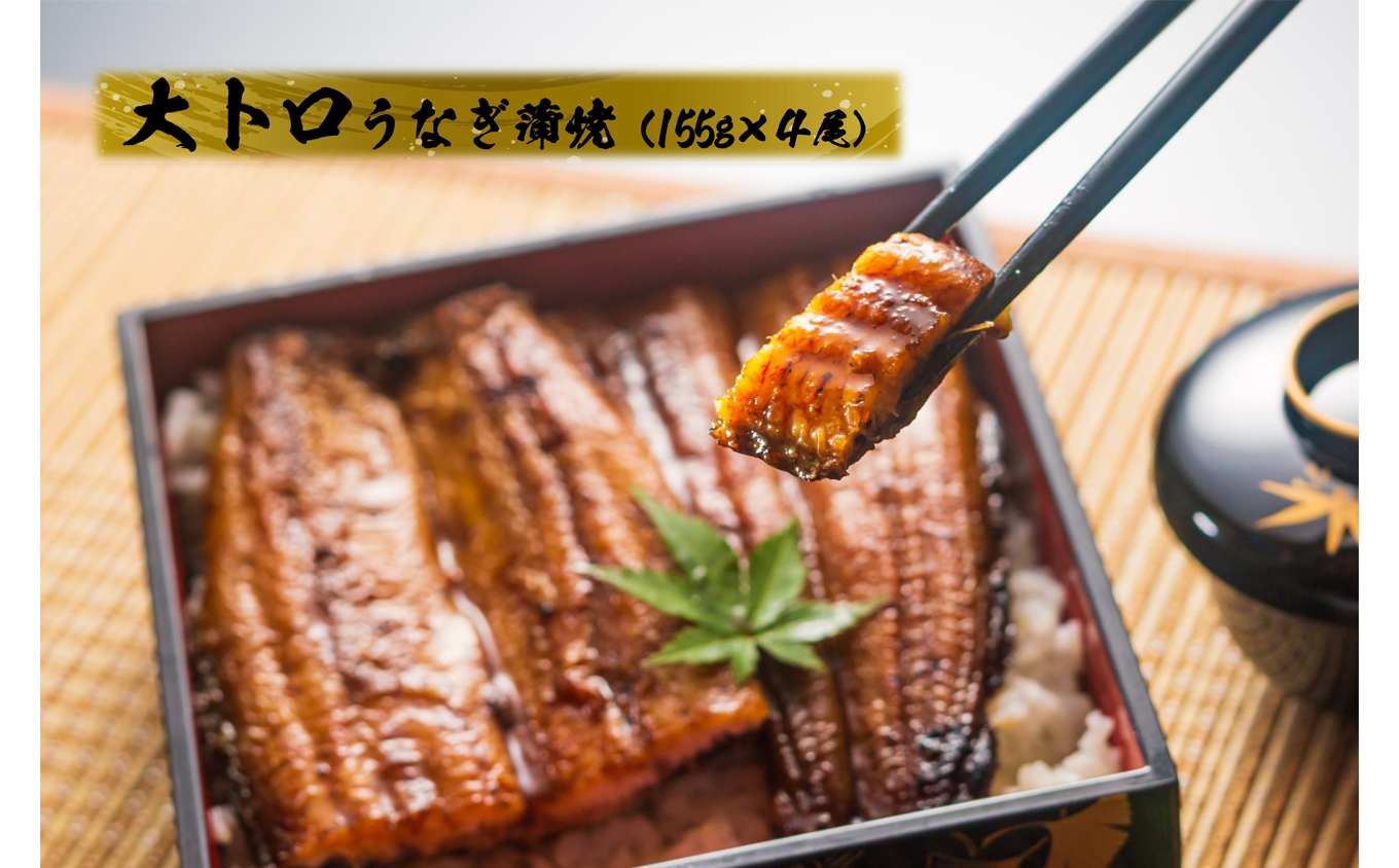 1721-2 【定期（全6回）】大人気！鯉家の極上蒲焼「大トロうなぎ（4尾）」【国産・手焼き備長炭】　KN040-T02