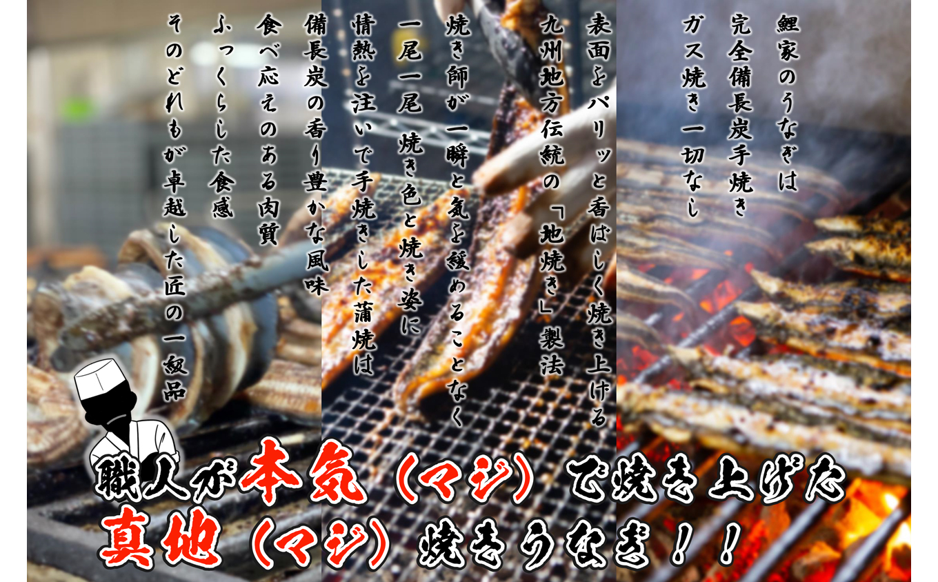 1722-2 【定期（全3回）】大人気！鯉家の絶品蒲焼「真地焼きうなぎ（2尾）」【国産・手焼き備長炭】　KN040-T03