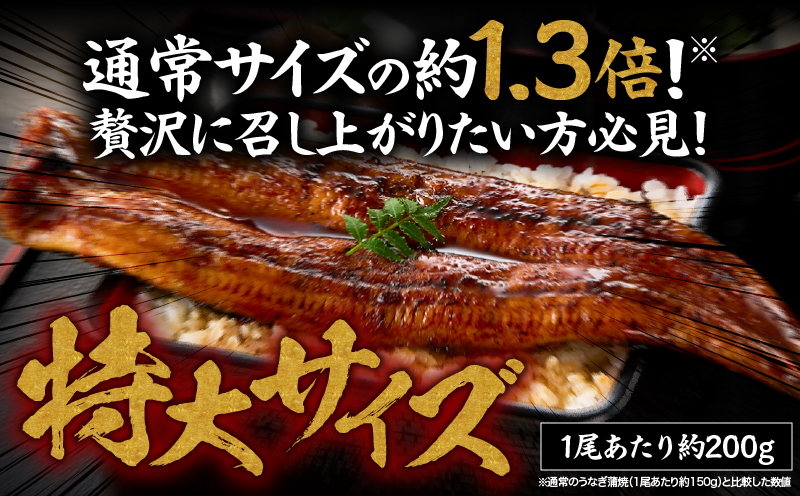 1744-1 うなぎ問屋の 備長炭手焼 うなぎ蒲焼 特大2尾400g　KN029-001-02