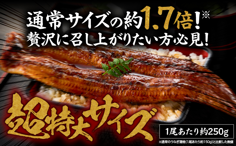 1746-1 うなぎ問屋の備長炭手焼 うなぎ蒲焼  超特大4尾（1000g）　KN029-001-07