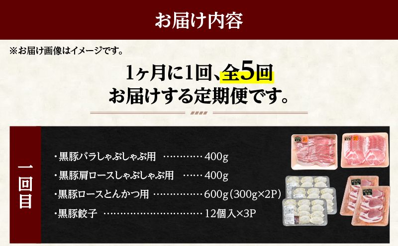 2030-1 黒豚バラエティふるさと定期A【全5回】　KN038-T03