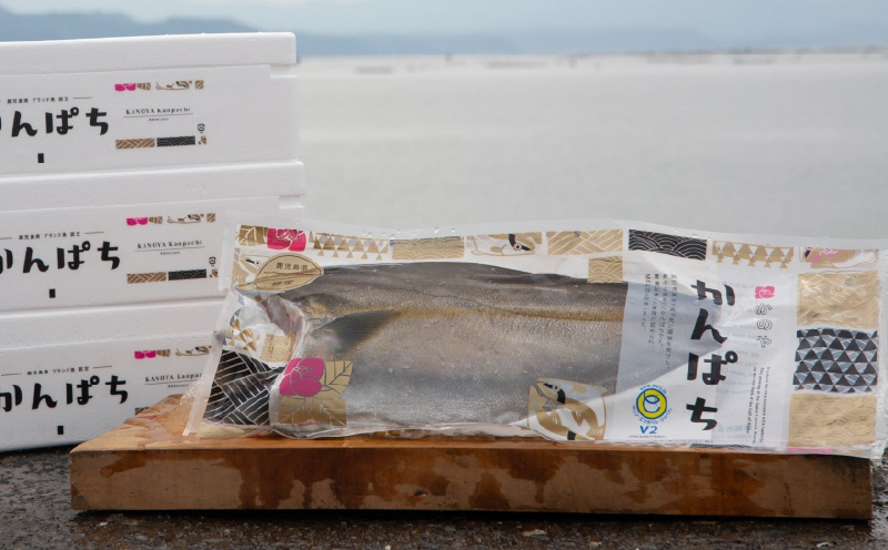 2141 【全3回定期便/毎月お届け】かのやカンパチ フィーレ半身（お刺身10～15人前） 800g　KN001-T01