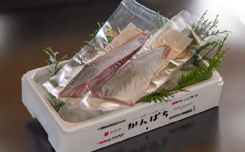 2154 【全3回定期便/毎月お届け】かのやカンパチ スキンレスロイン（カマ入） 計700g　KN001-T02