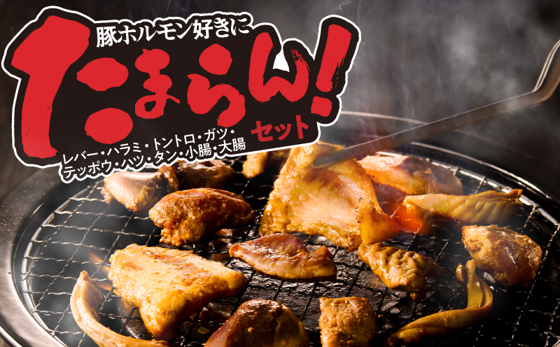 2290 鹿児島黒豚 みそホルモンミックス 2kg（200g×10パック）　KN054-010