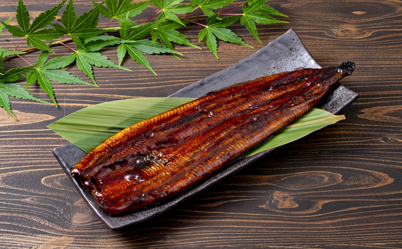 2324-1 【全6回定期便】鹿児島産うなぎ 合計360g（180g×2尾）　KN021-T20