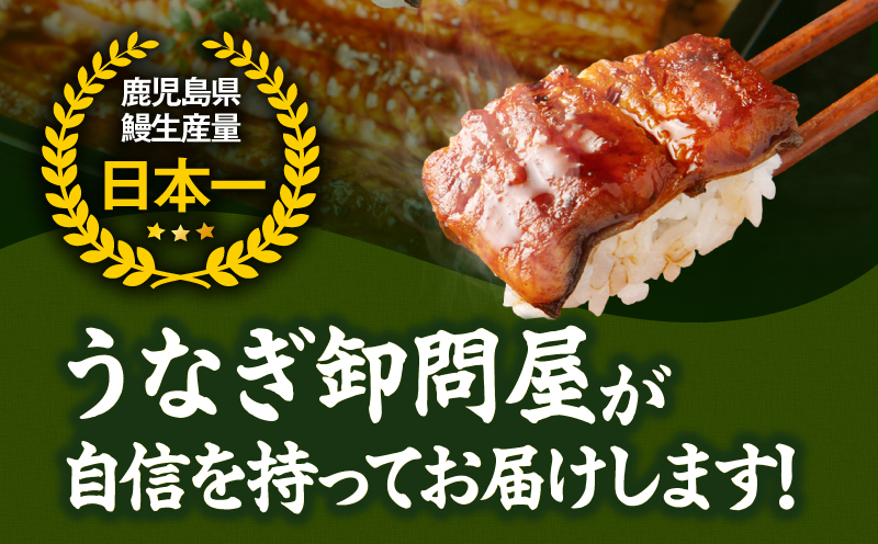 2490 【定期12回】大隅特産うなぎ蒲焼5尾（850g）【国産】　KN060-T14