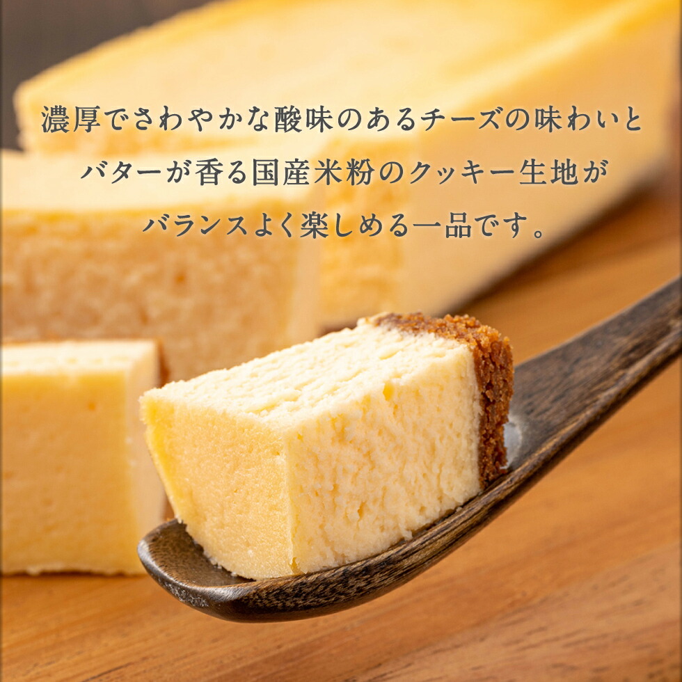 2523 オクタス チーズケーキ 1箱（250g×1本）　KN021-028-02