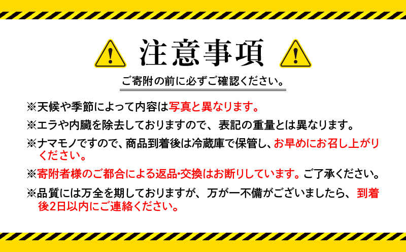 2530 鹿児島県産鮮魚詰合せセット（3～4尾）　KN025-004-01