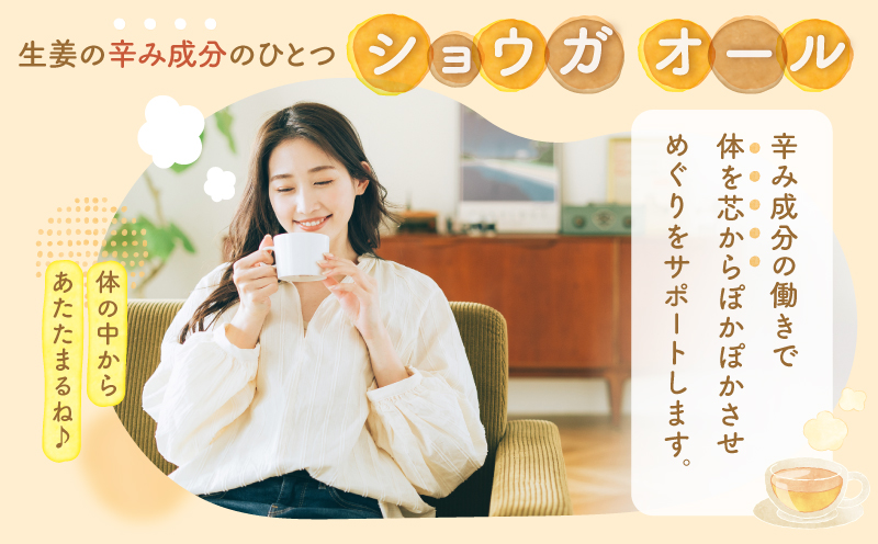 2594 鹿屋満足 熟成蒸し 黒生姜パウダー 25g×1袋　KN026-023-01