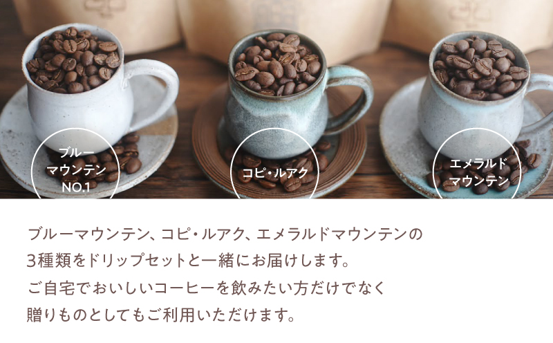 2748 【全3回定期便】【焙煎粉】＜自家焙煎珈琲屋さんが作るちょっといい珈琲とドリップセット（ブルーマウンテン・エメラルドマウンテン・コピルアク）＞　KN078-T04