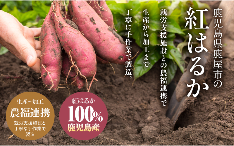 2845 かのや紅はるかペースト（さつま芋） 1kg（業務用）　KN109-001-02