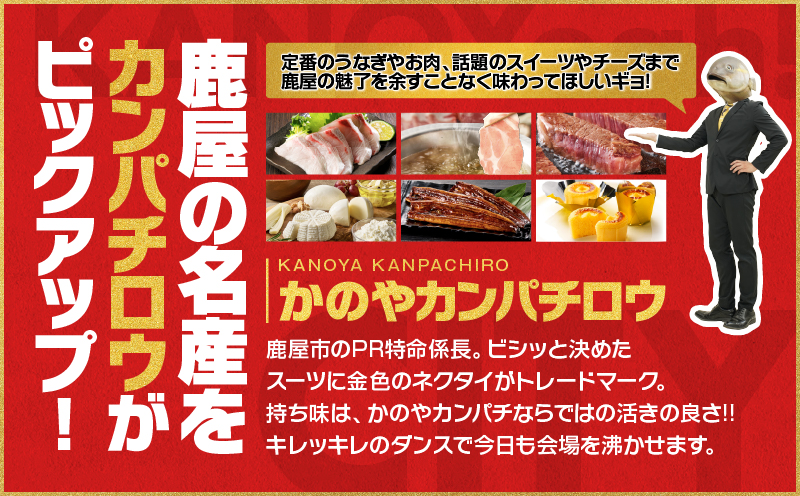 【全12回】鹿屋カンパチロウ便　KN000-T08