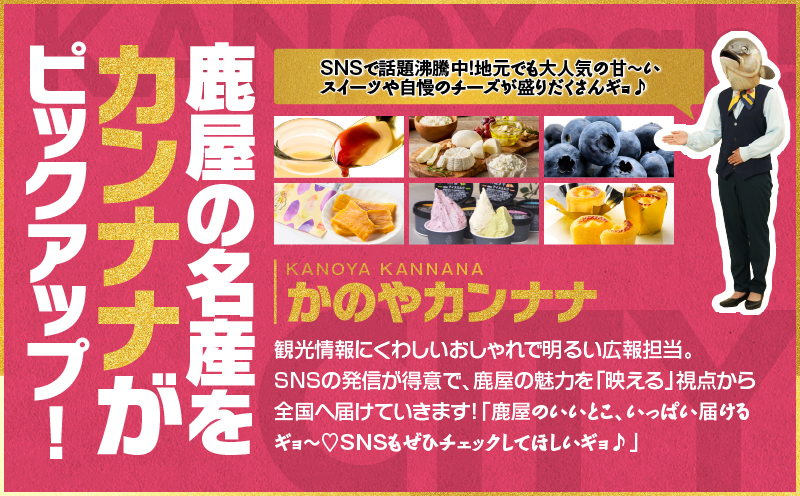 【全6回】鹿屋カンナナ便　KN000-T10