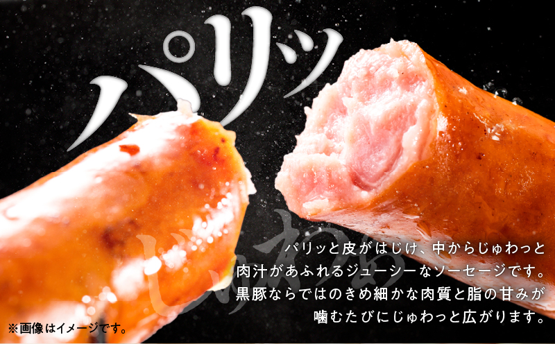 鹿児島黒豚 ショートウィンナー 900g　KN005-012-02