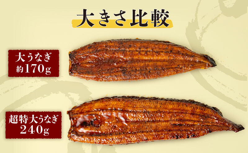 鹿児島産 超特大うなぎ蒲焼240g×2尾　KN021-042-02
