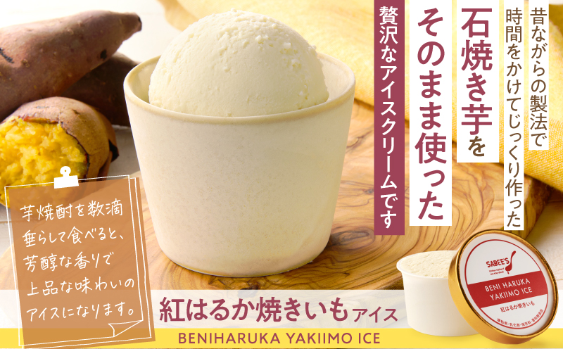 オリジナルアイスクリーム3種（8個入り）　KN046-009-01