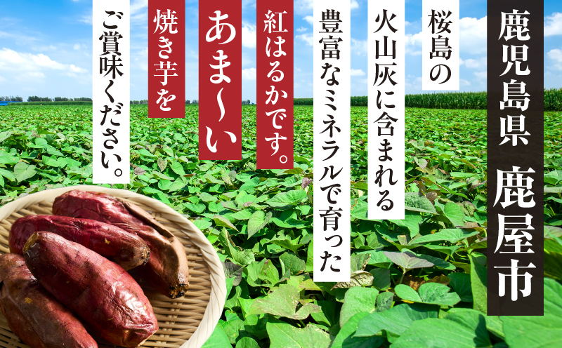 紅はるか 冷凍焼き芋1kg　KN046-011-01