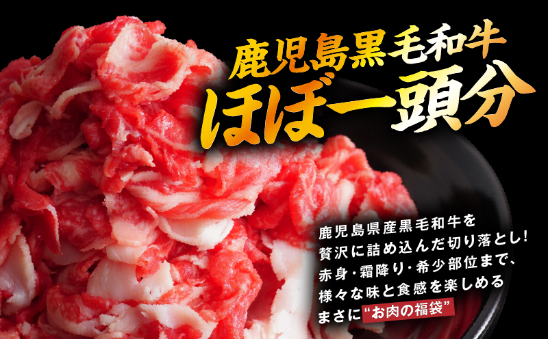 【訳あり】鹿児島県産 黒毛和牛 切り落とし肉 1kg（500g×2P）　KN050-042