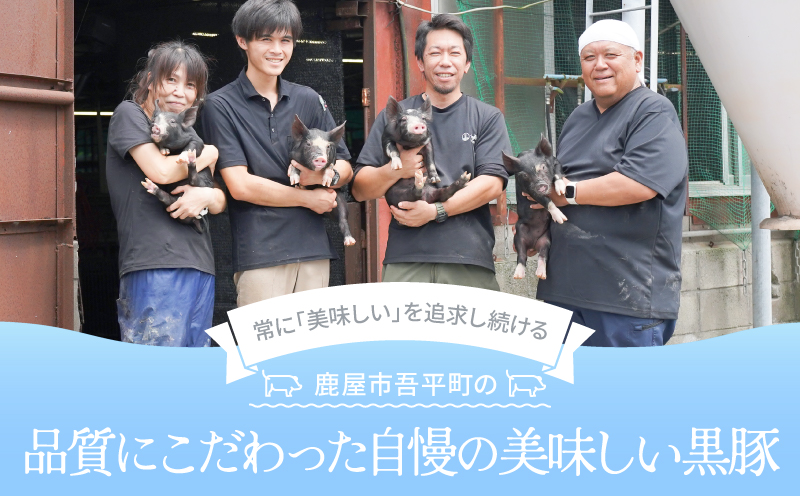 鹿児島県産 黒豚ロースしゃぶしゃぶ 1kg　KN054-017